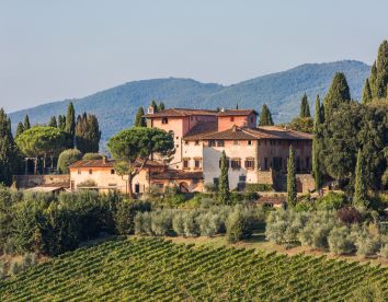 vigna maggio - Toscana