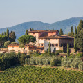 Vigna Maggio