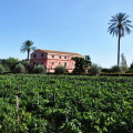 Dell’ Etna