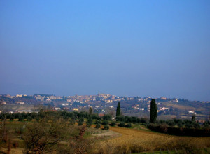 image11 Podere Giuditta