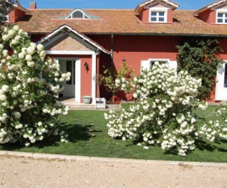 Farm-house La Pecora Ladra - Montalto Di Castro