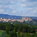 Fontelupo