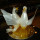 preview image21 ristorante