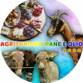 Pane E Olio