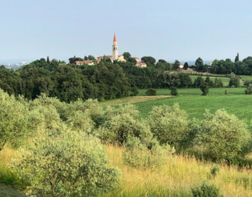 La Collina Delle Mignole