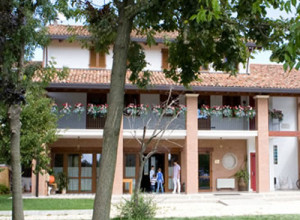 image3 Nonis