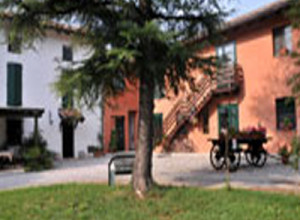 image5 Stefanutti