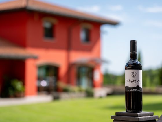 Il Roncal - foto 2