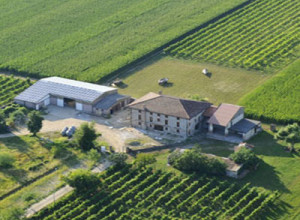 image1 Al Gelso