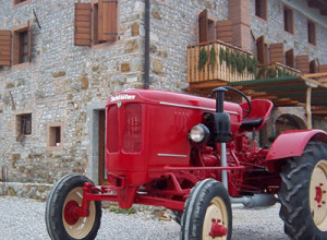 image15 Al Gelso