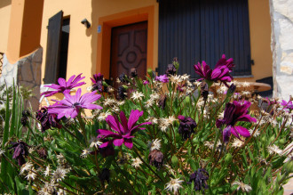 image6 I Vigneti