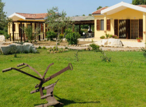 image15 I Vigneti