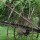 preview image1 esterno