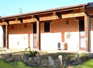 image6 Pedru Caddu