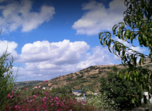 image18 Su Recreu