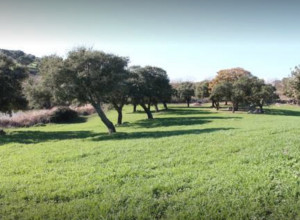 image0 Su Recreu