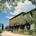 Fattoria La Capitana