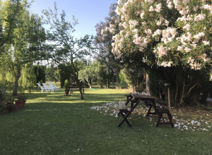 image5 Le Tre Grazie