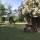 preview image13 giardino