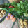 preview image9 nostri_prodotti