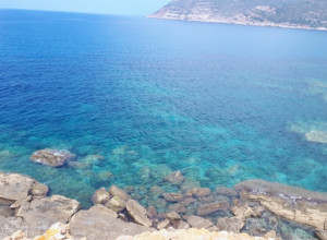 image14 Saride	