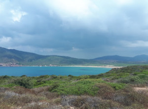 image13 Saride	