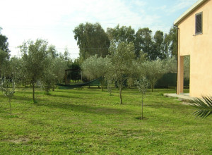 image2 Saride	