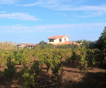 Casa-rural Serra Pittia - San Vero Milis