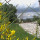 preview image5 esterno