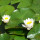 preview image1 parco