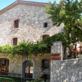 La Ginestra