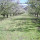 preview image11 esterno