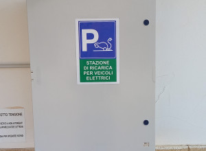 image5 Teo