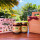 preview image9 cucina_ristorante