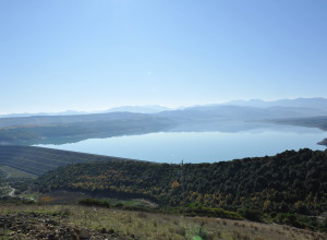 image8 Tenuta Fortunato