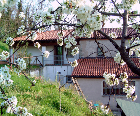 Countryside Holiday House Homelifebed Colli Euganei - Cinto Euganeo