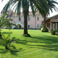 Trigna