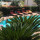 preview image4 piscina