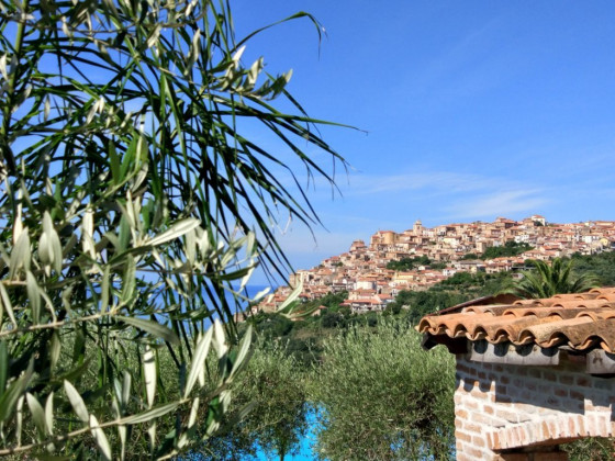 Cally Cally foto esterno 29