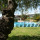 preview image1 piscina