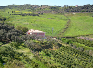 image6 Tenuta Castellesi