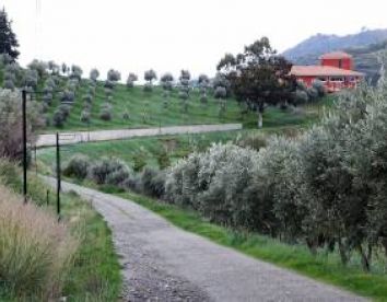 Tenuta Castellesi