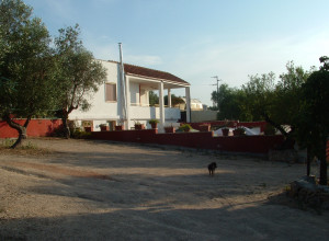 image13 Vivinatura