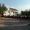 Vivinatura