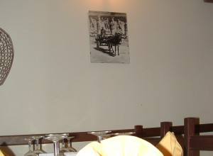 image1 Vivinatura
