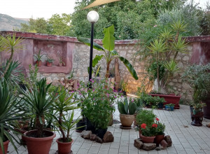 image9 Villa Delle Acacie