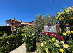 image13 Villa Delle Acacie