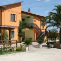 Pesolillo