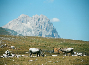 image22 Laperegina