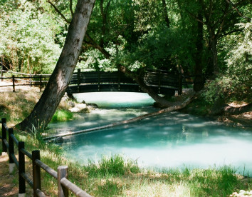 Laperegina